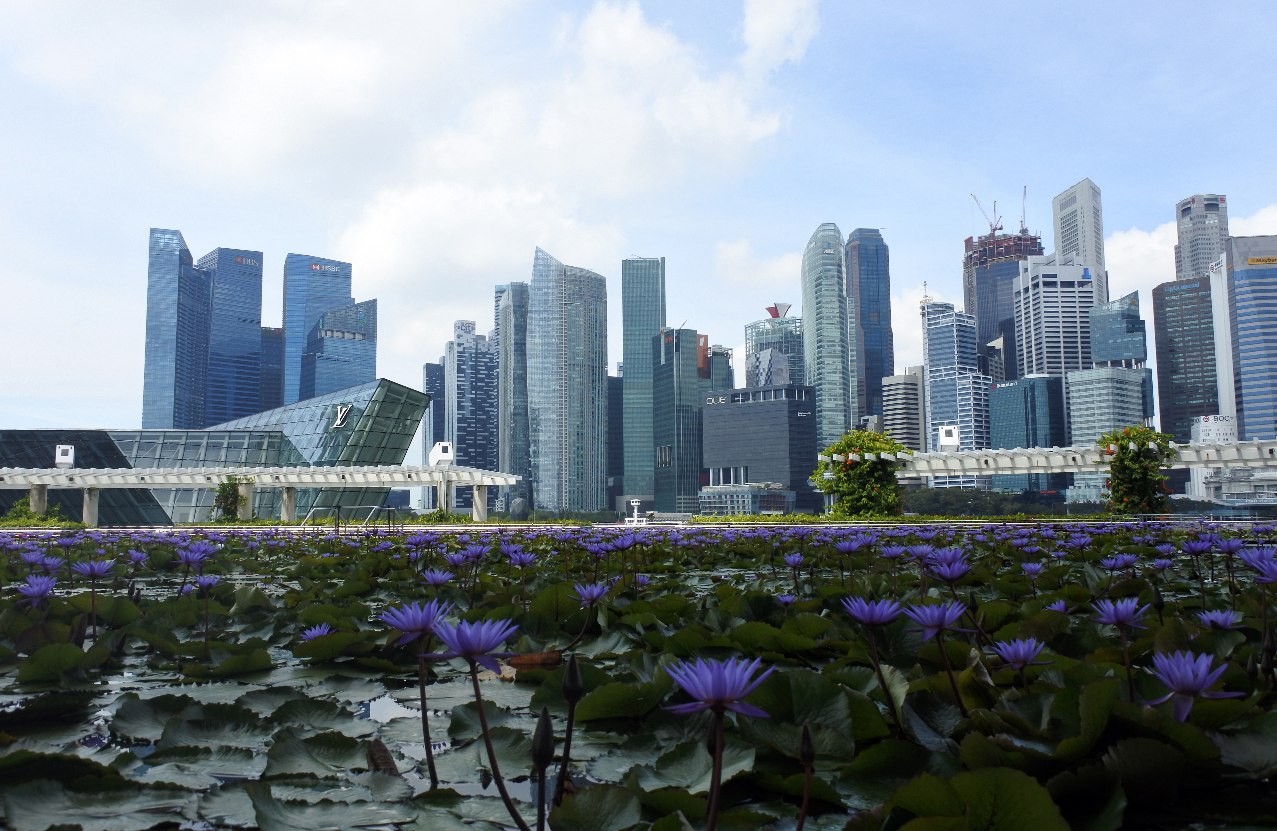 View Of Marina Bay From Marina Bay Sands